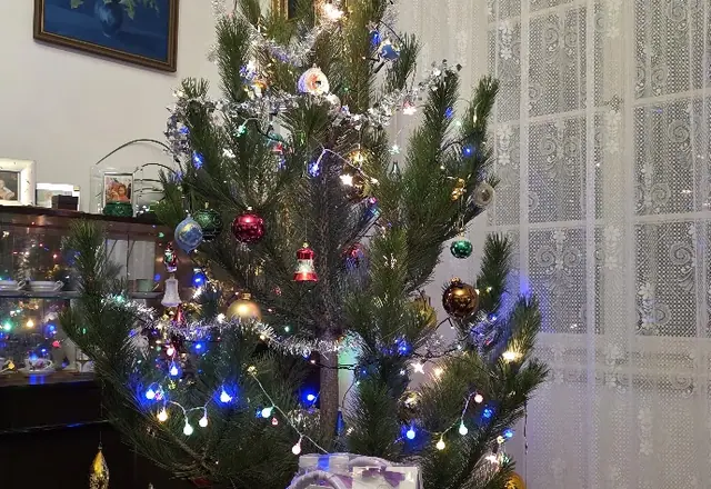 Vánoční stromek v rodinném interiéru