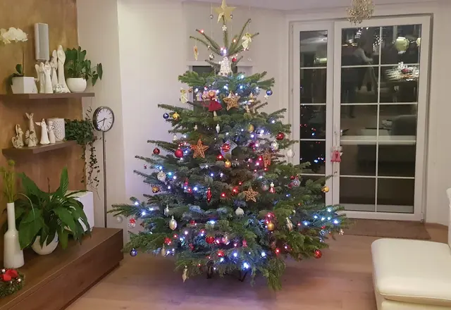 Ozdobená jedle v obývacím pokoji