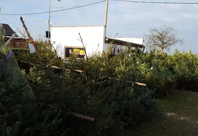 Stromky připravené k prodeji